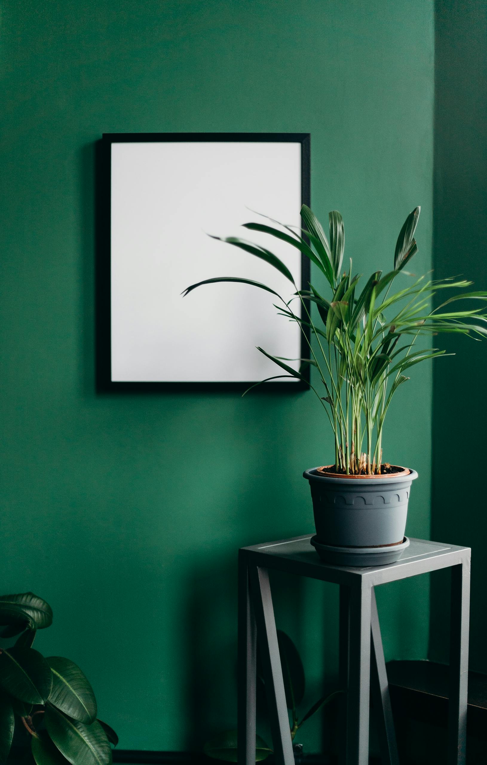 A stylish home interior featuring a blank frame and a potted plant against a green wall, perfect for minimalist ideas.